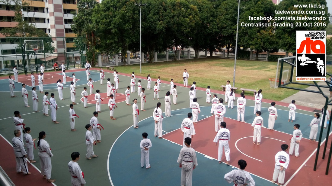 Black Belt STA HQ Grading Aquarius Bedok Yishun Orchard Katong Singapore Taekwondo Academy Adrian Huan Paya Lebar Northpoint