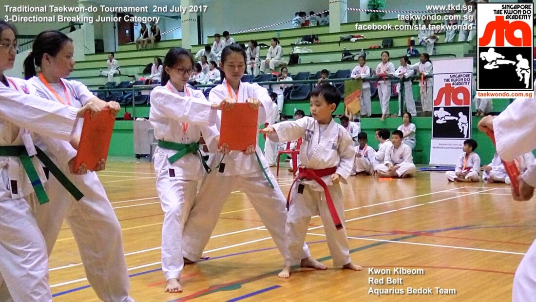 Board Breaking Competition Red Belt Kibeom Aquarius Bedok Tampines Simei Katong Singapore Taekwondo Academy STA Adrian Huan