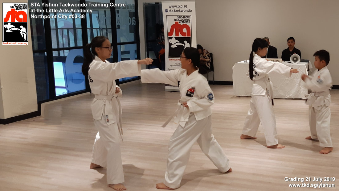 White Belt Grading 3 Step Sparring Aiden Yishun Northpoint Little Arts Singapore Taekwondo Academy STA Adrian Huan Sembawang