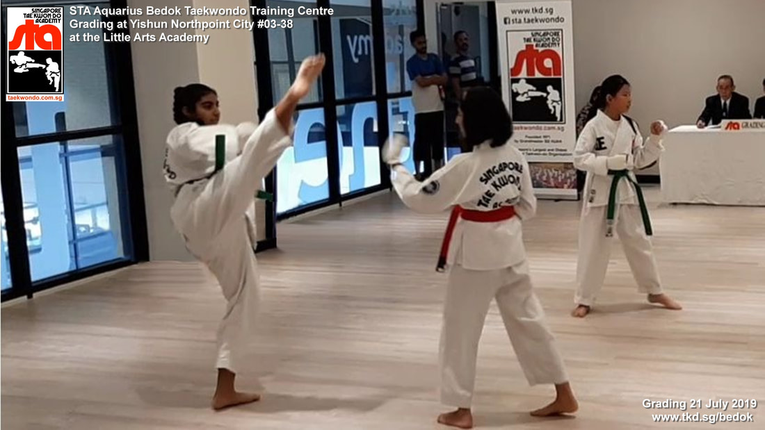 High Kick Sonakshi Alluyise Sparring Grading Aquarius Bedok Tampines Simei Katong Singapore Taekwondo Academy STA Adrian Huan